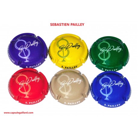 Série de 6 Capsules de champagne SEBASTIEN PAILLEY N°9 au 9.g